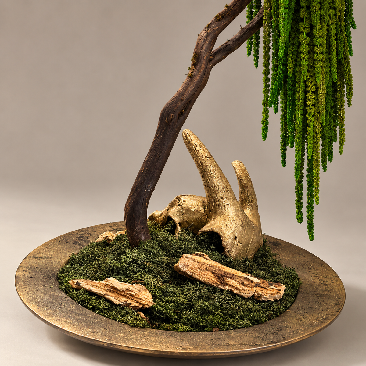 Lorea Bonsai