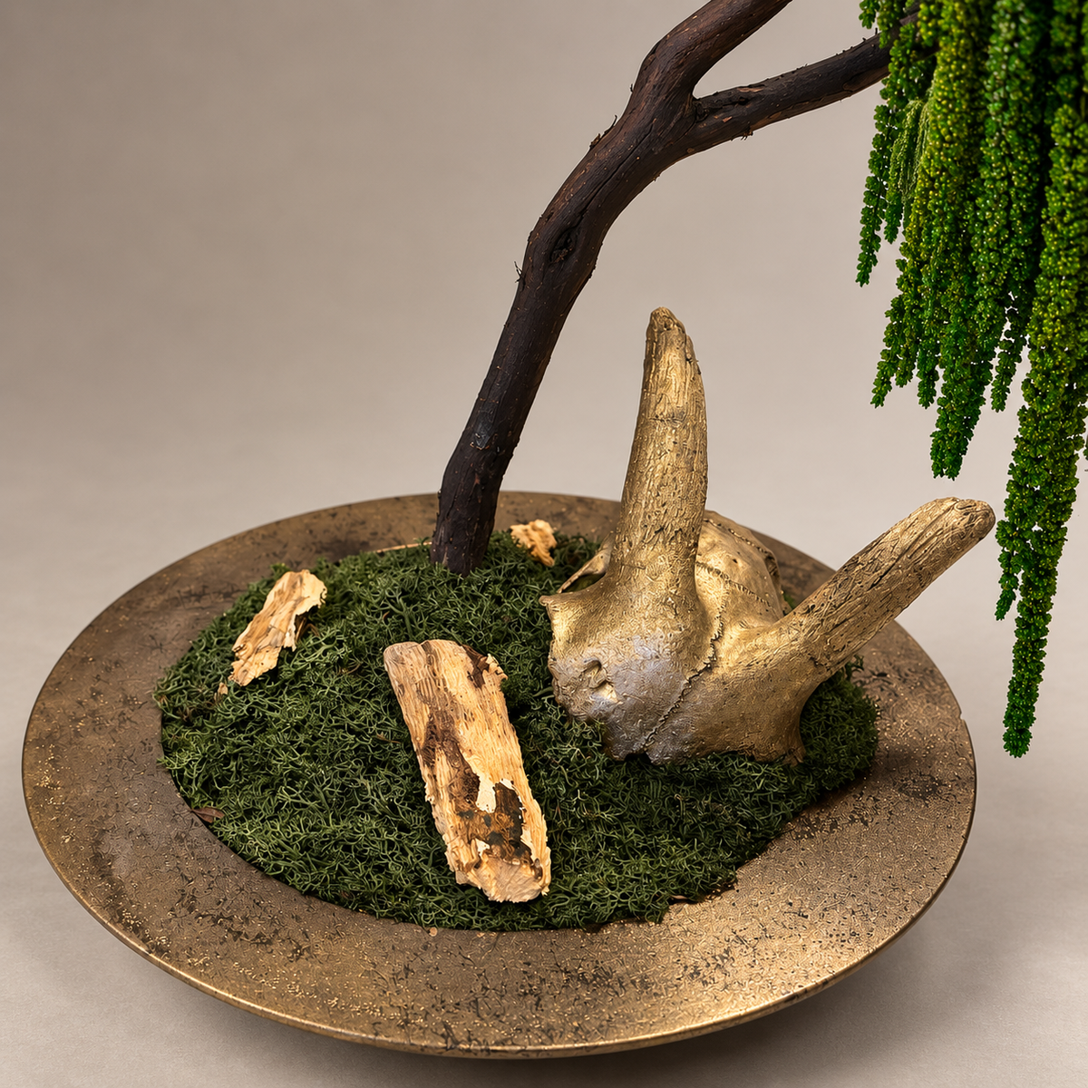 Lorea Bonsai