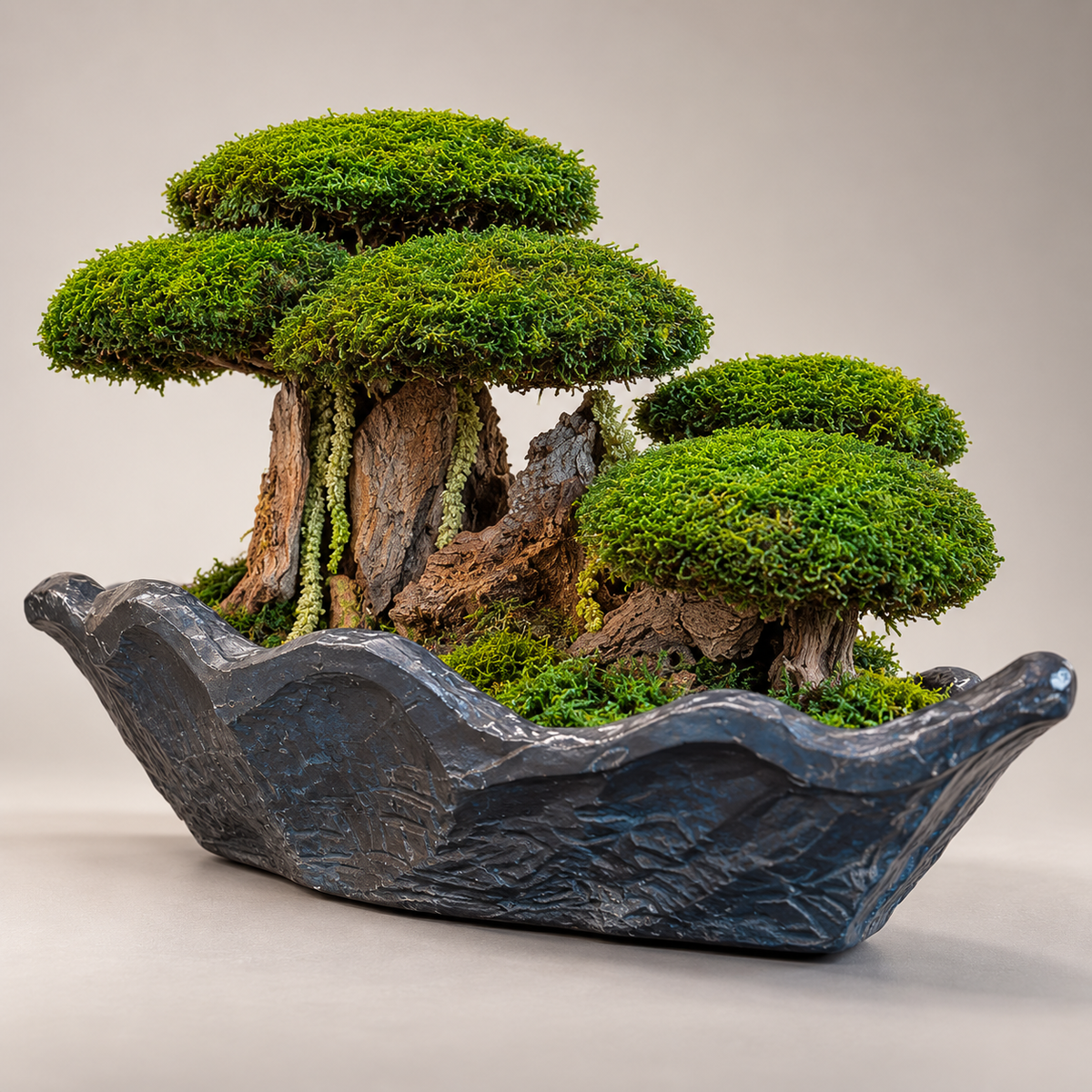 Bodur Bonsai