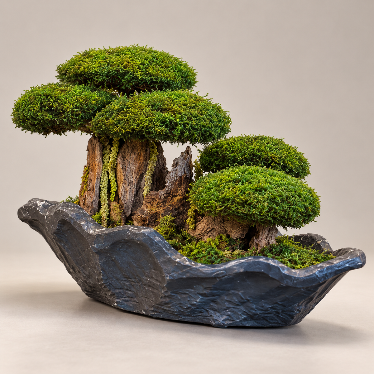 Bodur Bonsai