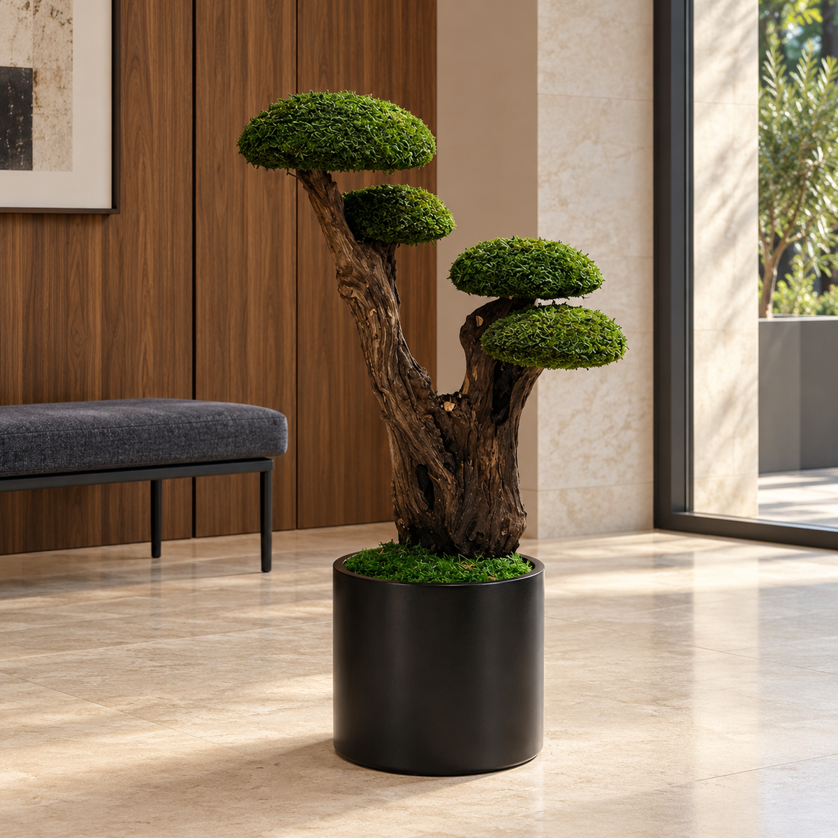Kyoto Bonsai
