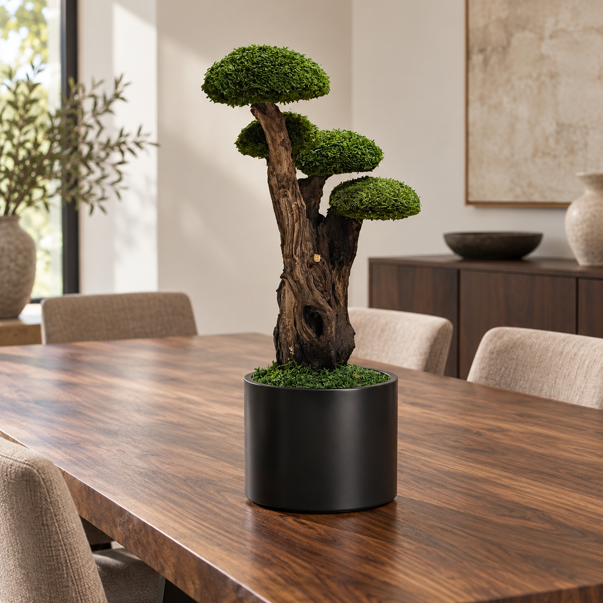 Kyoto Bonsai