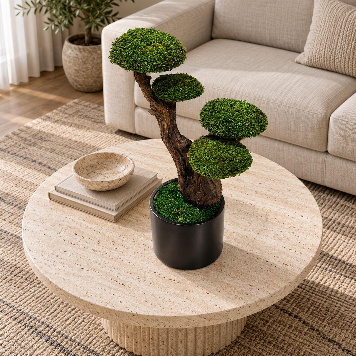 Kyoto Bonsai