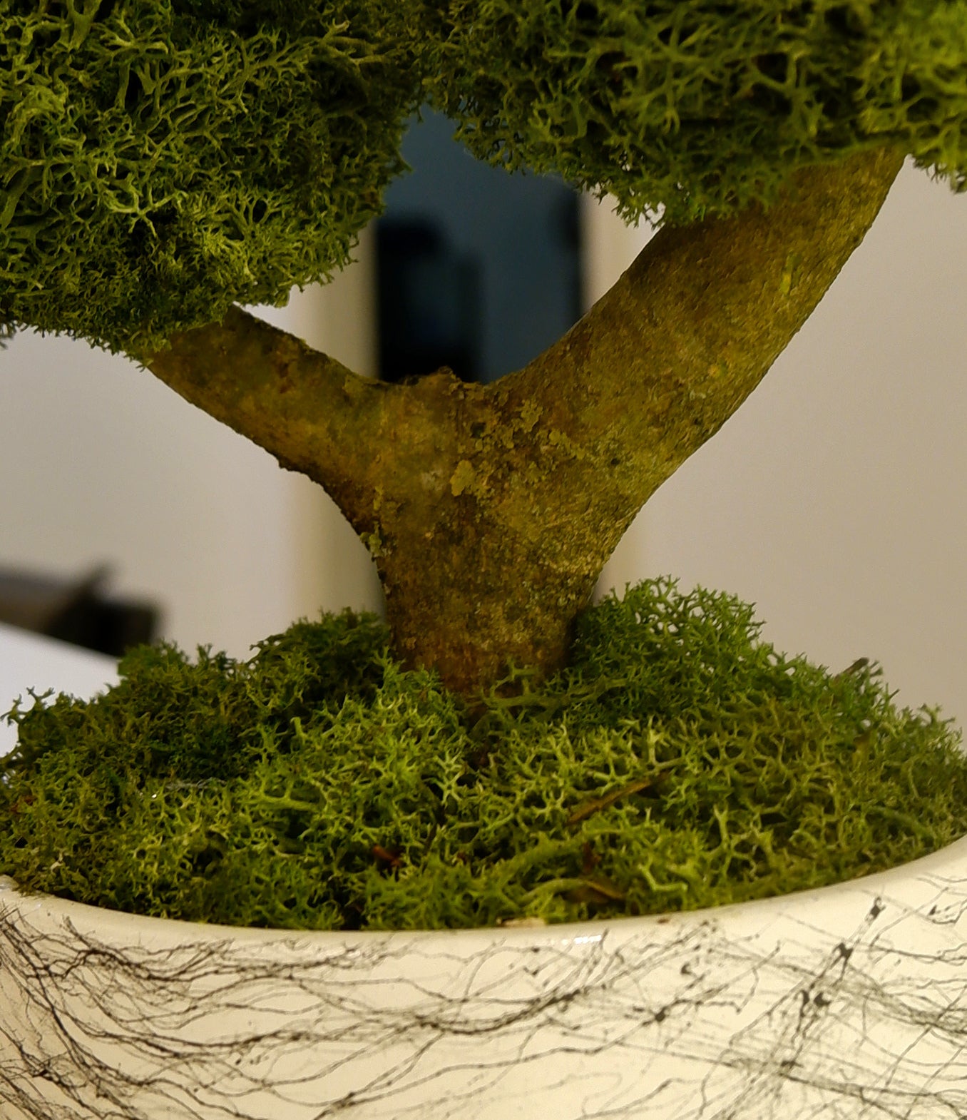 Osaka Bonsai