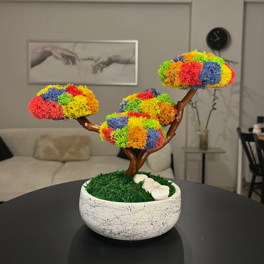 Kolaj Tetra Bonsai