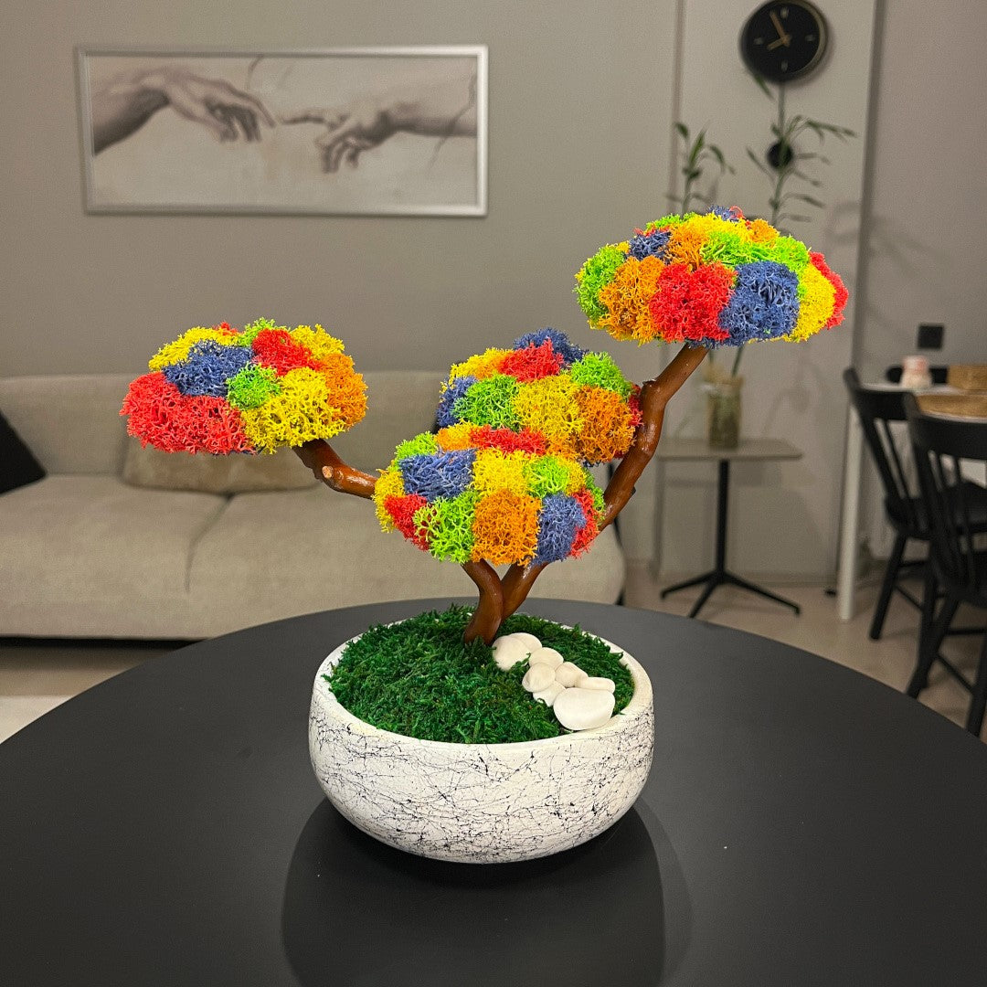 Kolaj Tetra Bonsai