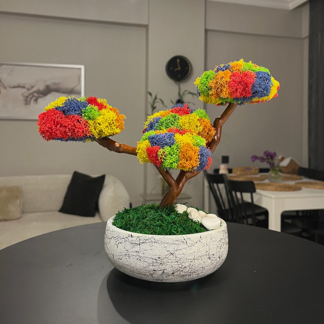 Kolaj Tetra Bonsai