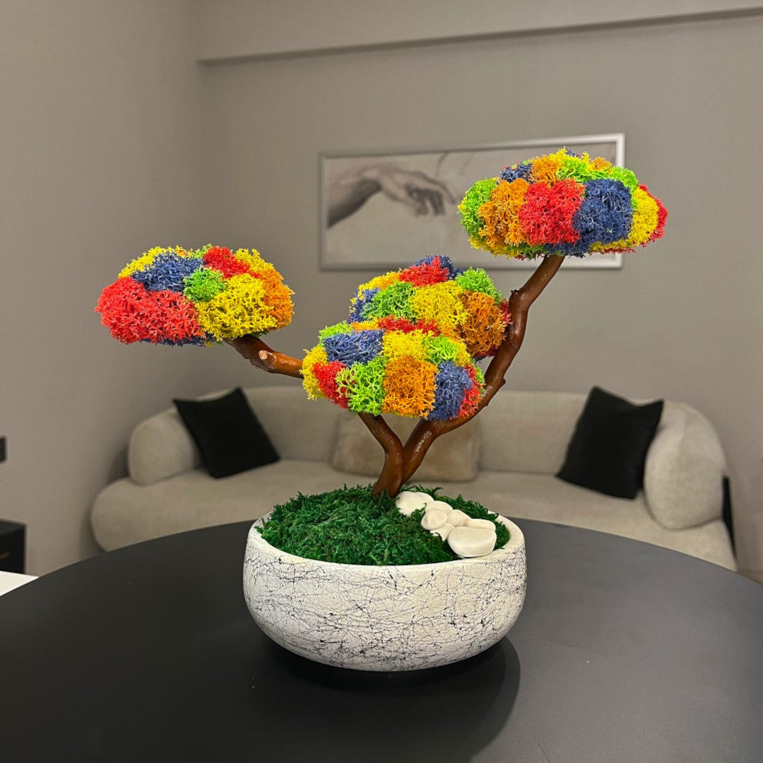 Kolaj Tetra Bonsai