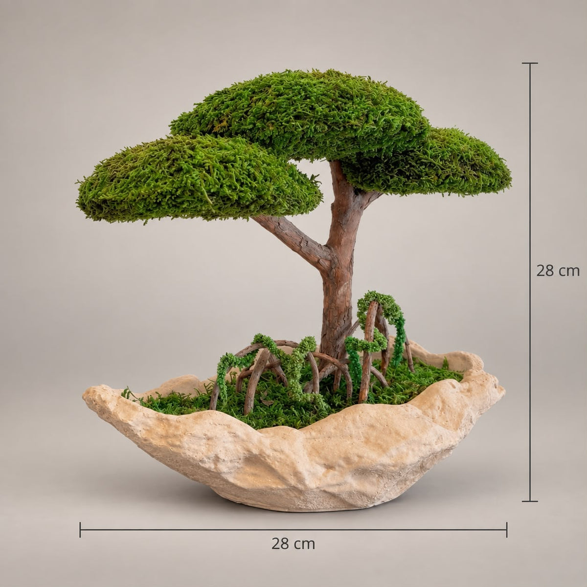 Verde Bonsai
