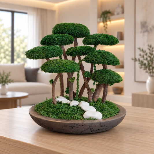 Koru Bonsai