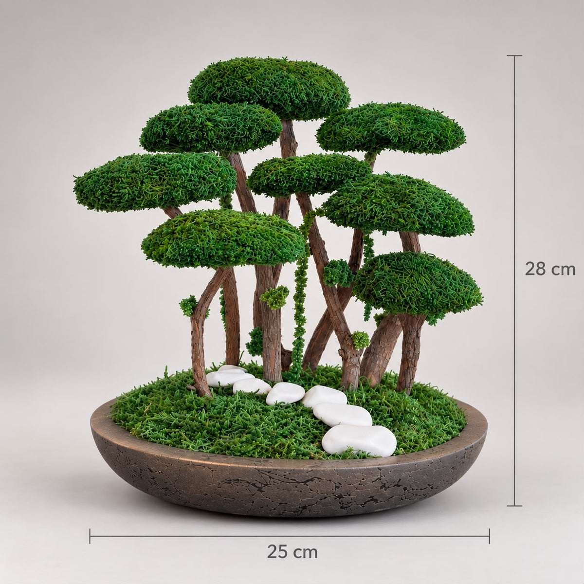Koru Bonsai