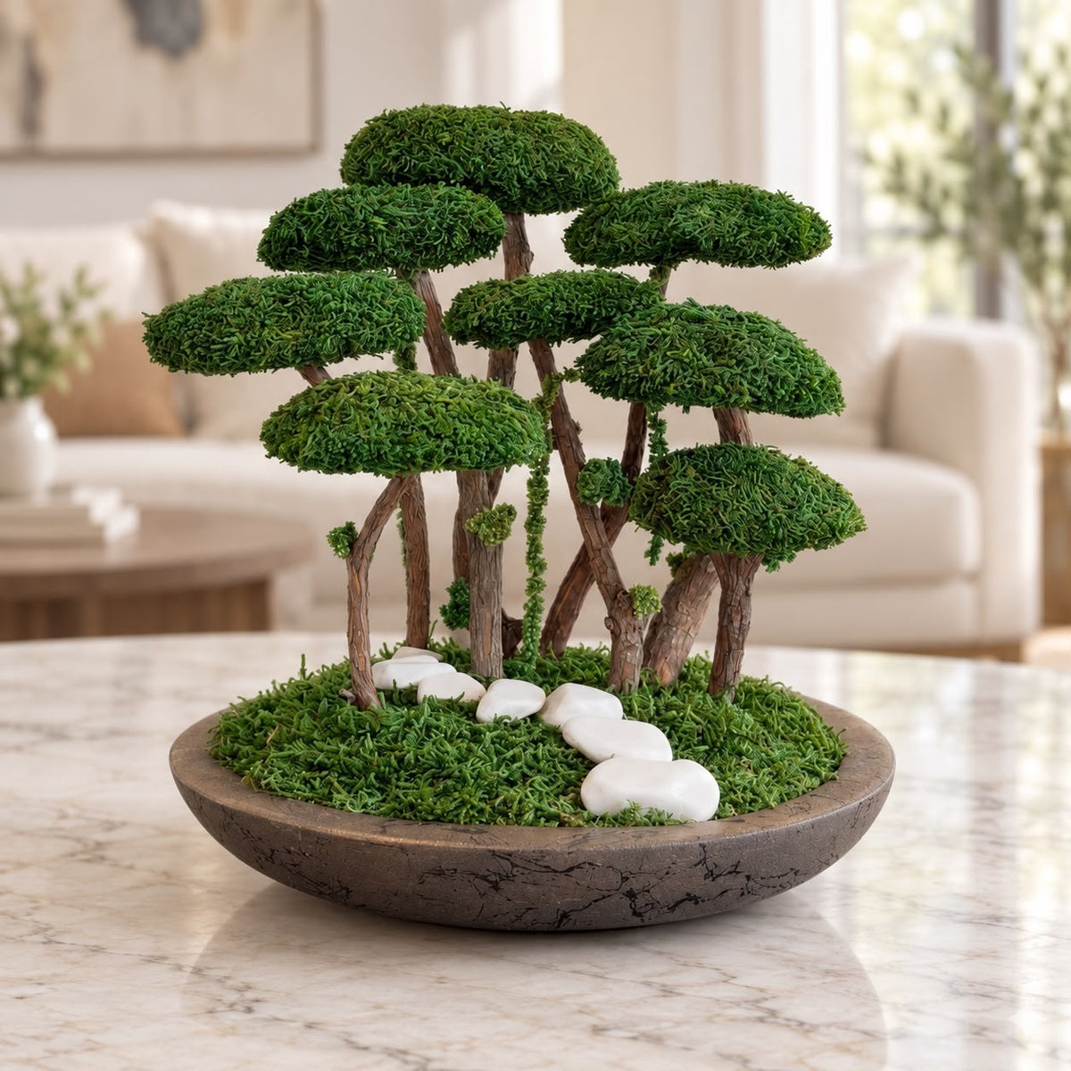 Koru Bonsai