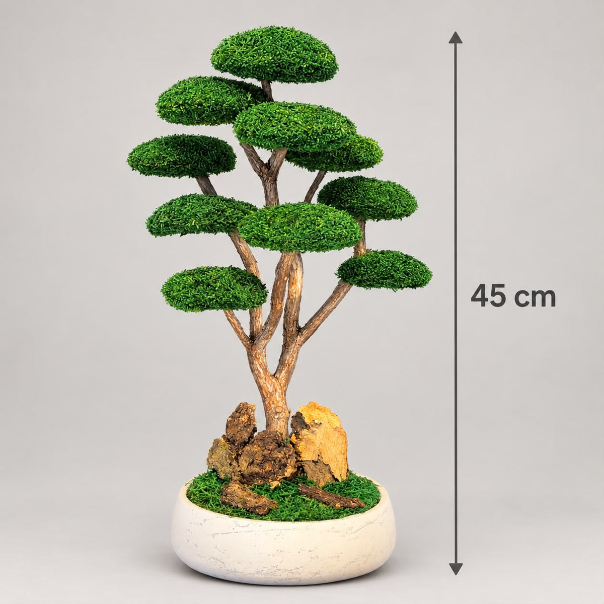 Rei Bonsai