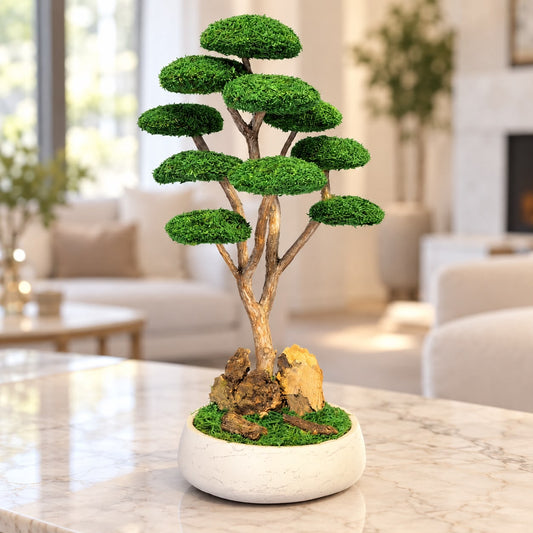 Rei Bonsai