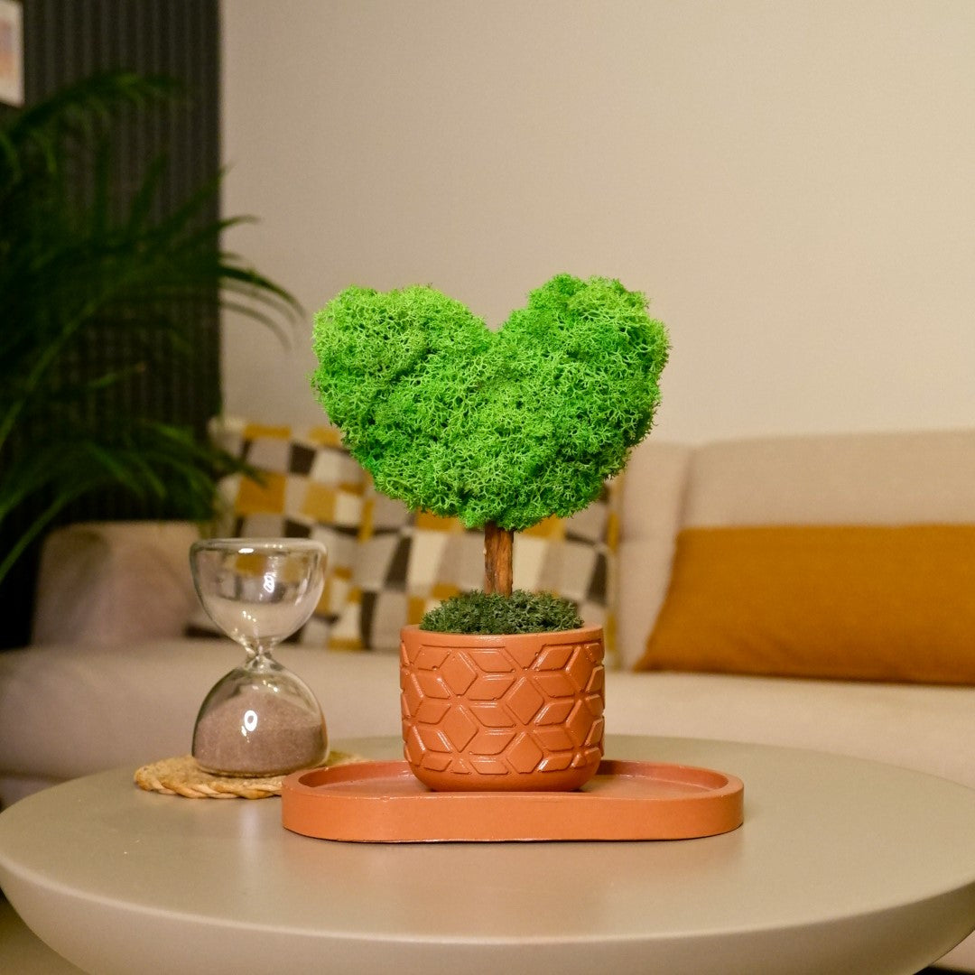 Mini Kalp Moss Ağaç - Yeşil