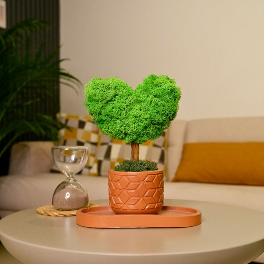 Mini Kalp Moss Ağaç - Yeşil