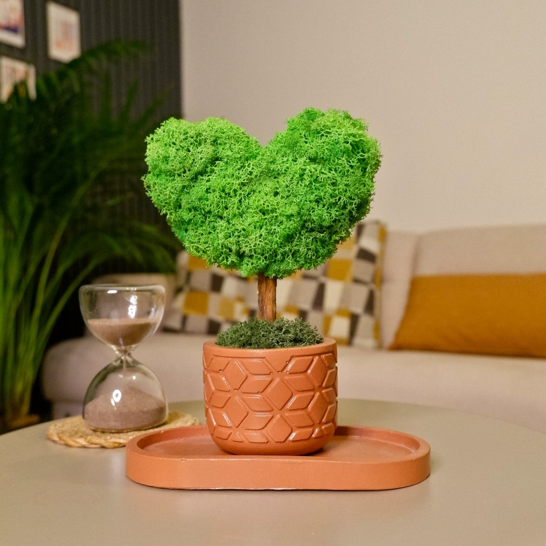 Mini Kalp Moss Ağaç - Yeşil
