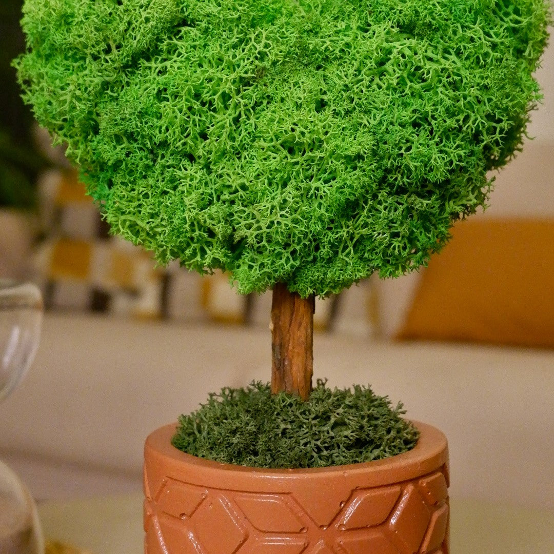 Mini Kalp Moss Ağaç - Yeşil