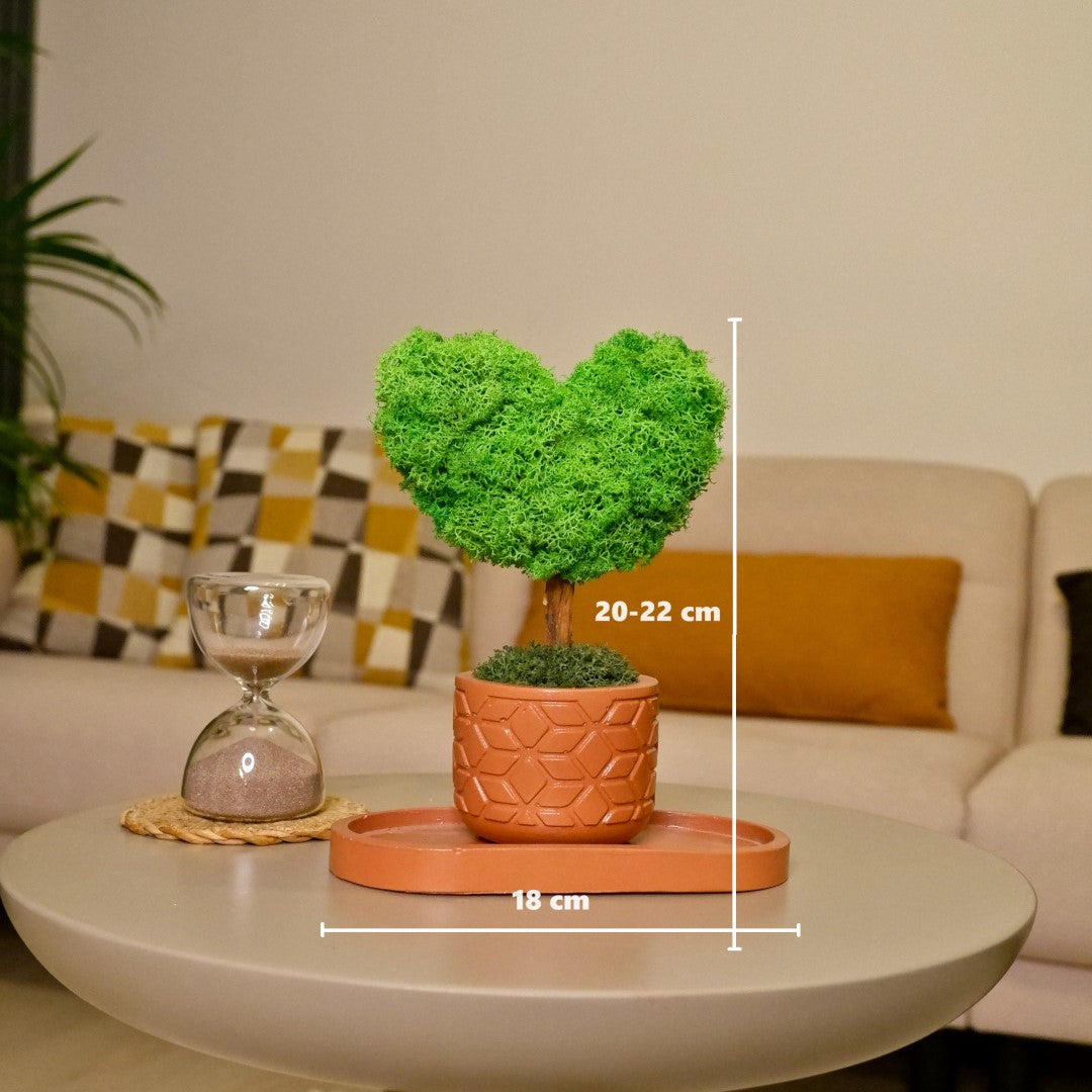 Mini Kalp Moss Ağaç - Yeşil