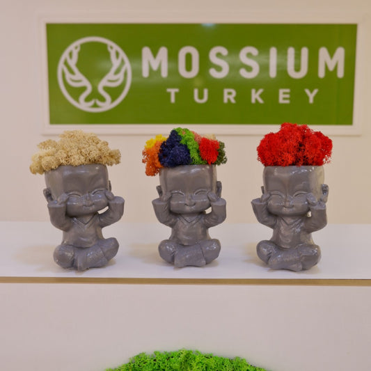 Baby Buddha 3'lü Set