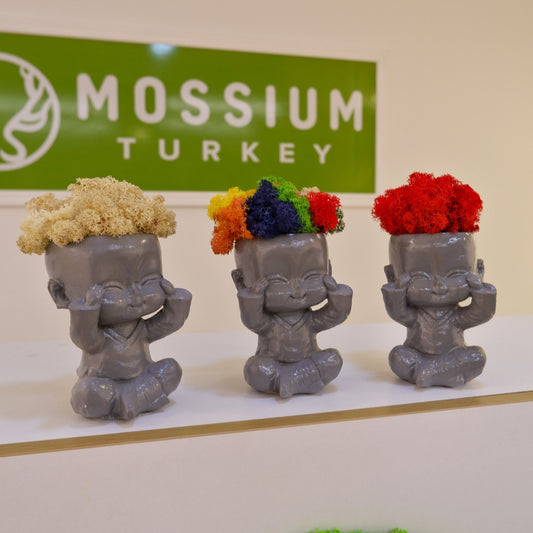 Baby Buddha 3'lü Set