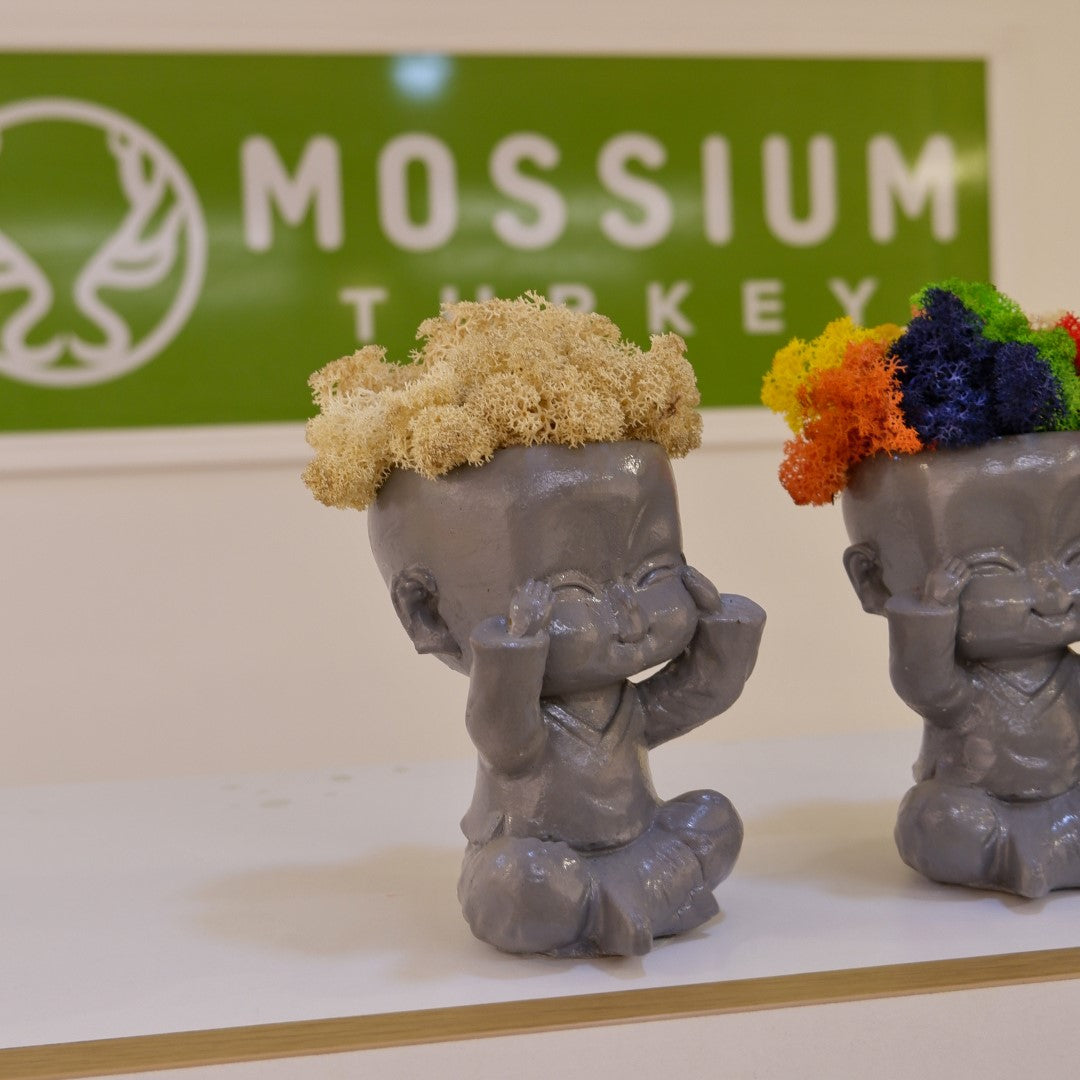 Baby Buddha 3'lü Set