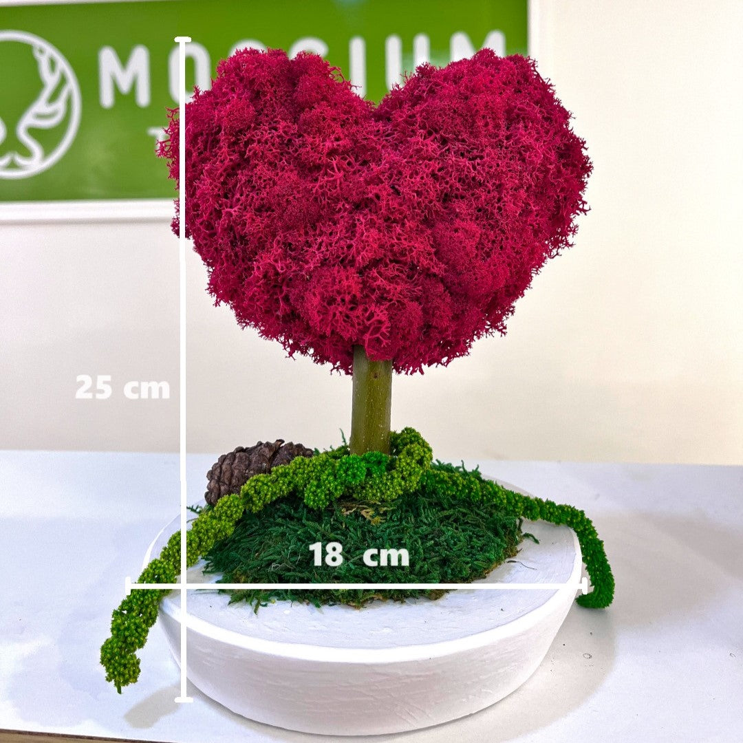 Kalp Moss Ağaç - Plate Saksı