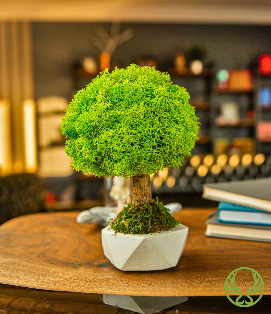 Bonsai Moss Ağaç