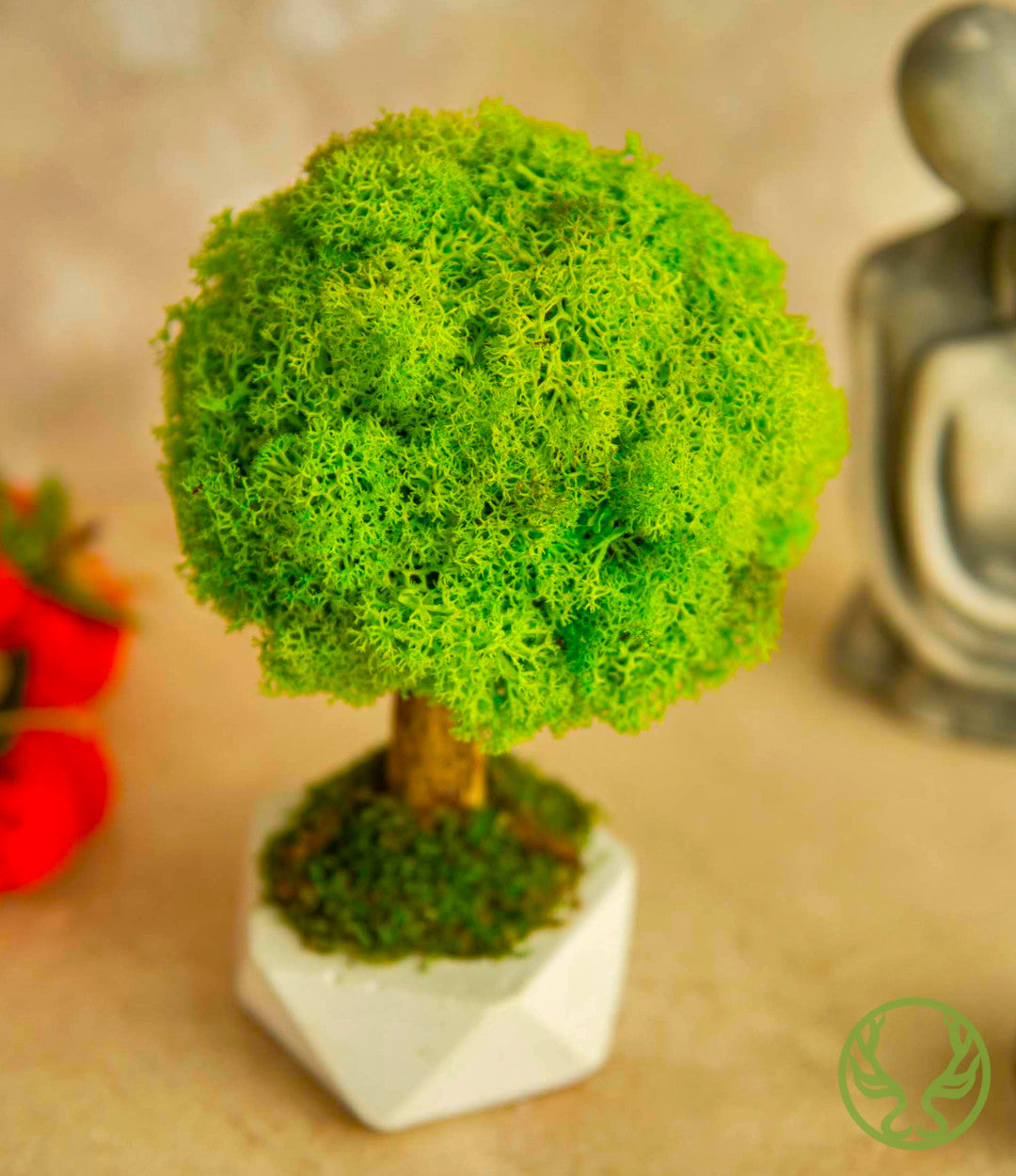 Bonsai Moss Ağaç