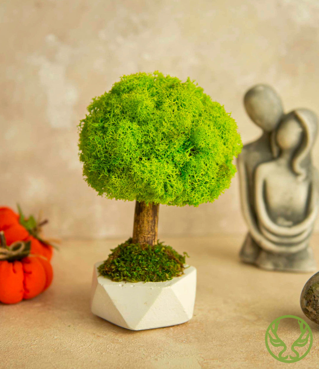 Bonsai Moss Ağaç