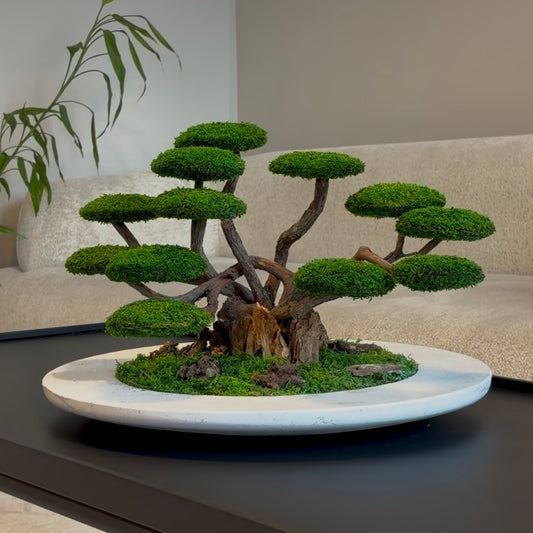 zen